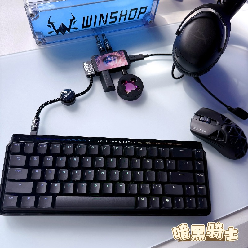 WINSHOP Esports HUB Dual-In 4- - Desk Setup Accessories Aesthetic のレビューと価格